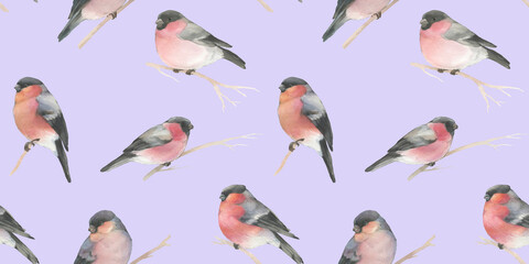 watercolor drawing bullfinch on a branch, seamless pattern, hand drawn, bird illustration, endless winter ornament