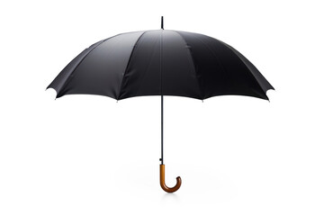 Umbrella, on transparency background PNG
 - obrazy, fototapety, plakaty