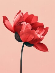 A bright red flower stands out against a soft pink backdrop, creating a striking contrast in colors.
