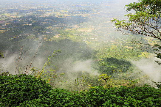 Mist falling in the valley of  Nelliyampathy