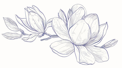 Outline silhouette of hand-drawn magnolia flower.