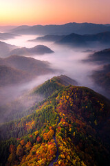 錦秋のおにゅう谷と雲海を空撮