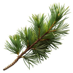 A close up of a pine branch. Generative Ai