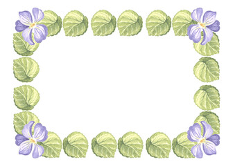 Horizontal frame from wild violets with green leaves. Isolated hand drawn watercolor illustration of spring pansy flower blossom. Template with copy space for postcard of Mothers day, 8 March, wedding