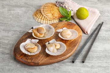 Raw natural scallop in its shell