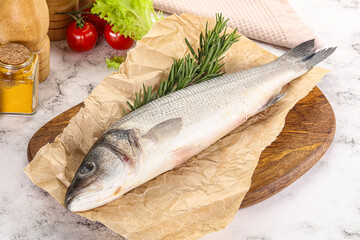 Raw seabass fish for cooking