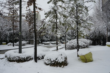밤새 내일 눈이 마을을 흰눈으로 덥어놓았습니다