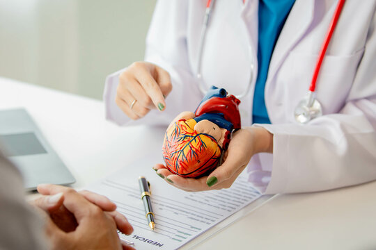 Providing advice about the heart and heart function