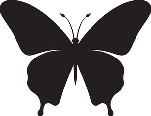 Butterfly Silhouette Vector Illustration White Background