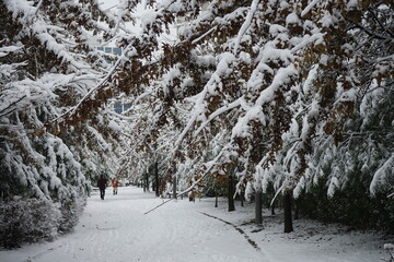 겨울에 밤새 눈내린 도시마을 풍경입니다
