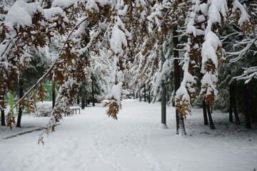 겨울에 밤새 눈내린 도시마을 풍경입니다