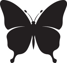 Butterfly Silhouette Vector Illustration White Background