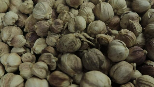 Close up of a bunch of cardamom