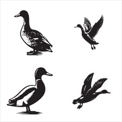 set of black duck silhouettes vector illustration
