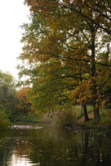 Vibrant and tranquil nature in Denmark