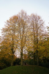 Vibrant and tranquil nature in Denmark