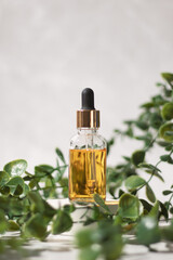Mock up glass dropper bottle on a white podium on a white gray background with leaves and stones. Cosmetic pipette on a white background.