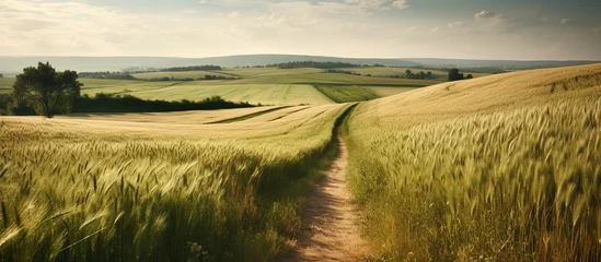 Fototapeten summer rural natural landscape with fields © WaniArt