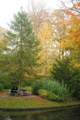 Obraz premium Vibrant and tranquil nature in Denmark