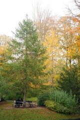 Naklejka premium Vibrant and tranquil nature in Denmark