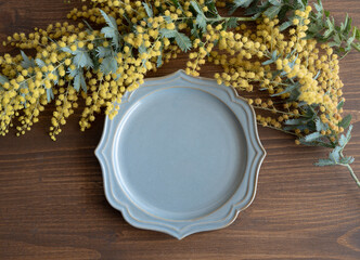 mimosa dish
