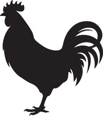 Chicken Silhouette Vector Illustration White Background