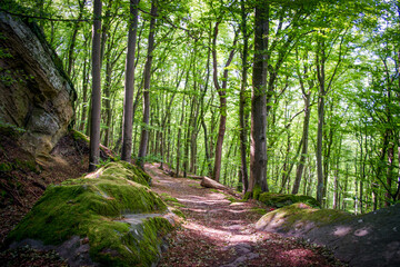 Hiking Müllerthal trail in Luxembourg