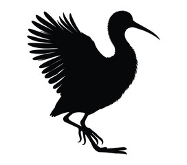 African Jacana vector illustration on white background.