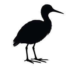 African Jacana. Vector image. White background.