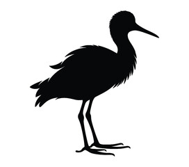 Vector, isolated silhouette of African Jacana.