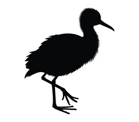 Fototapeta premium African Jacana vector illustration design art.