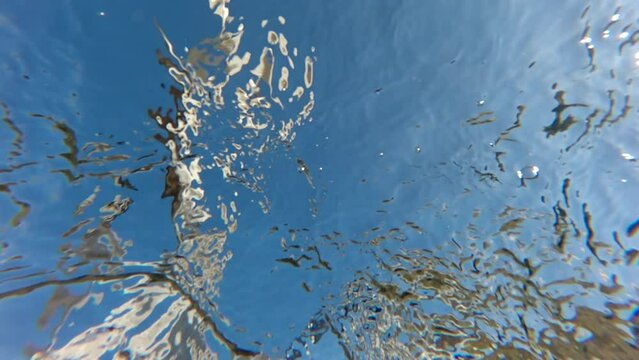 Bottom view, Underwater shot of seagulls fly, land on the water, swim and feed from surface of water in the coastal zone, on blue sky background, Close-up