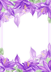 Hand drawn watercolor purple aquilegia flowers frame border isolated on white background. Can be used for cards, label, scrapbook and other printed products.