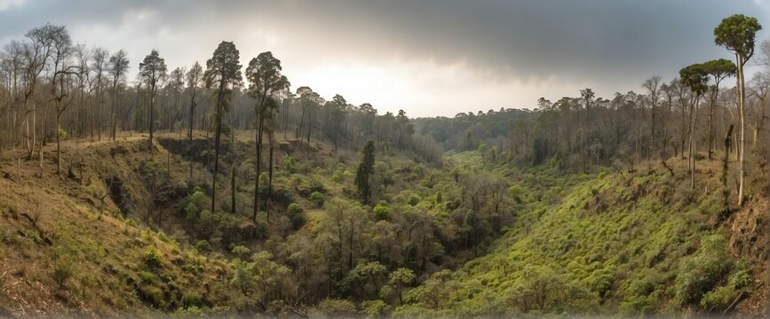 Wide angle panoramic view of pre historic deep jungle forest at winter from Generative AI