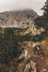 Path in the woods in the mountains during autumn with lots of trees and rocks, Durmitor, Montenegro