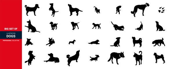 Dogs collection. Dogs icon set, different breeds dogs icon set.