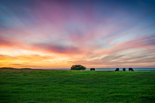 A magical sunset at Fyns Hoved