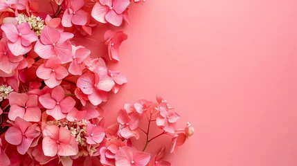 Afwasbaar fotobehang Pink hydrangea flowers on pink background. © UsamaR