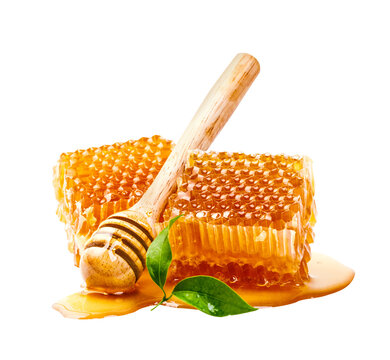 Honeycomb with honey dipper and leaf isolated, Organic product from the nature for healthy with traditional style, PNG transparency