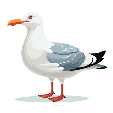 Flat cartoon seagull isolated on white background 