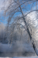 winter landscape of trees in hoarfrost and snow on the river bank