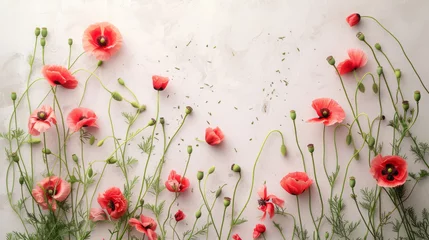 Deurstickers Poppy flowers top view, summer background, free space © PD