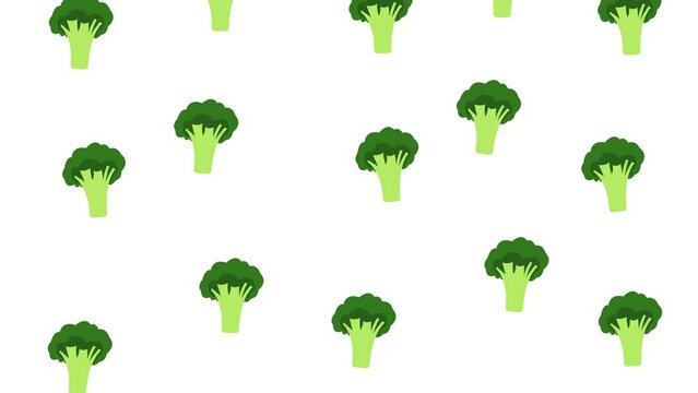Broccoli Falling from above animation 4k with white and blue screen for keying. Broccoli animation concept minimalist illustration