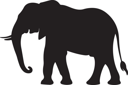 Elephant Silhouette Vector Illustration White Background