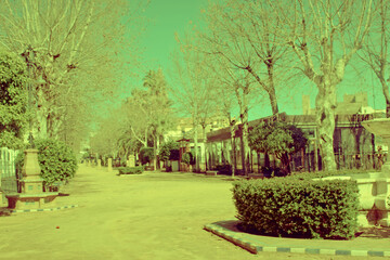 Variations on Alameda Alfonso XIII in Carmona, Seville