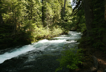 Sahaly Falls, Columbia River Gorge Scenic Area, Oregon, United States