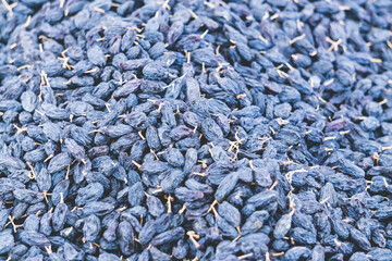 Dried grapes raisins at the Siab bazaar in the ancient city of Samarkand in Uzbekistan, Siyob bozor