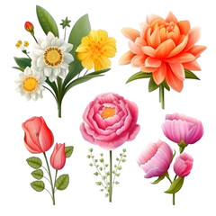 Fototapeta premium PNG Set of floral branch watercolor elements