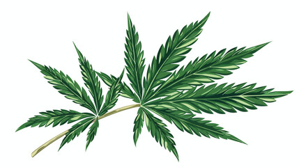 Marijuana leaf Cannabis leaf vector illustration dra