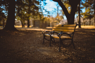 公園のベンチ